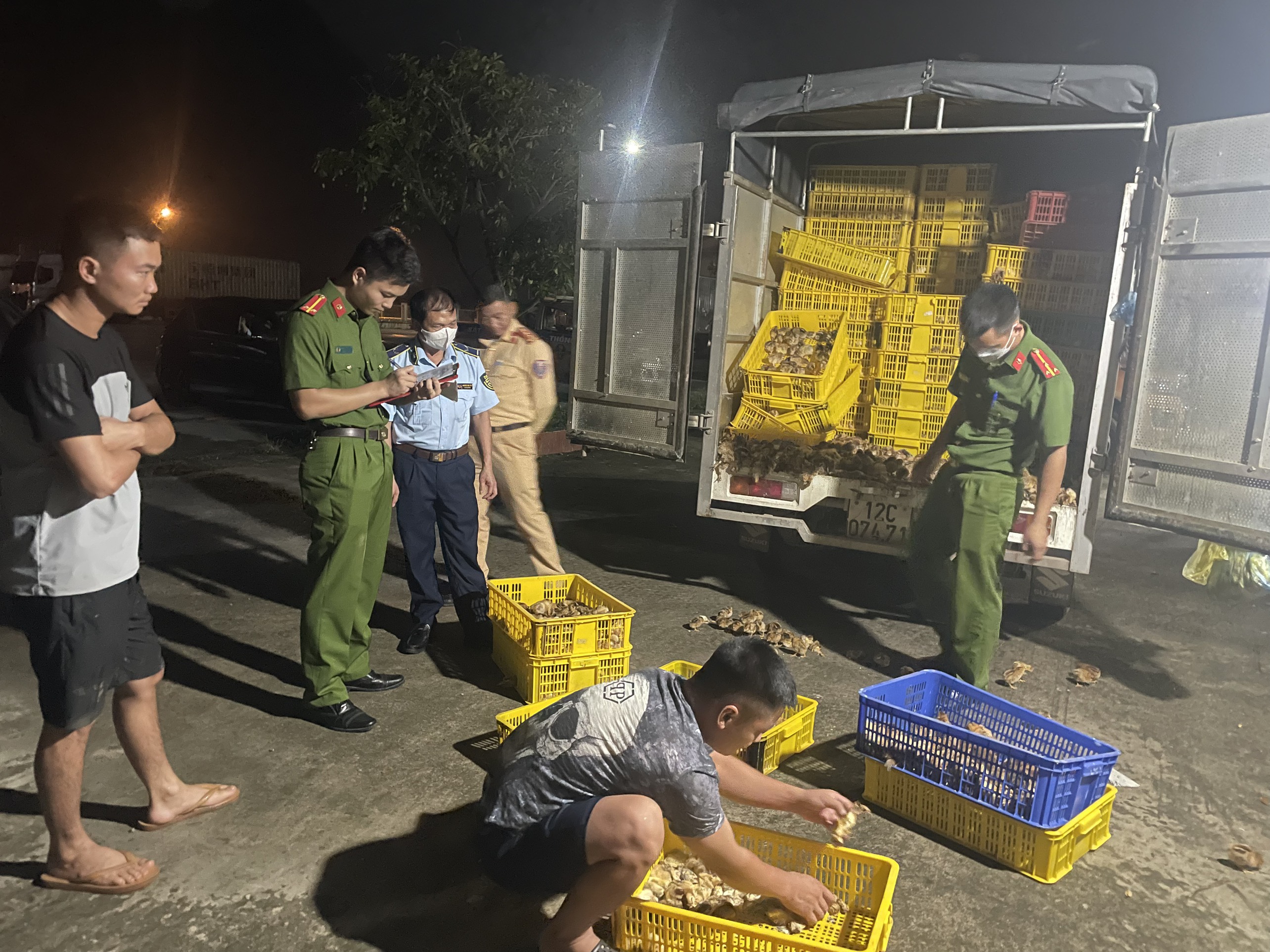 Lạng Sơn: Kịp thời ngăn chặn phương tiện vận chuyển hàng chục nghìn con gia  cầm giống không rõ nguồn gốc xuất xứ - Cổng thông tin Tổng cục Quản lý thị