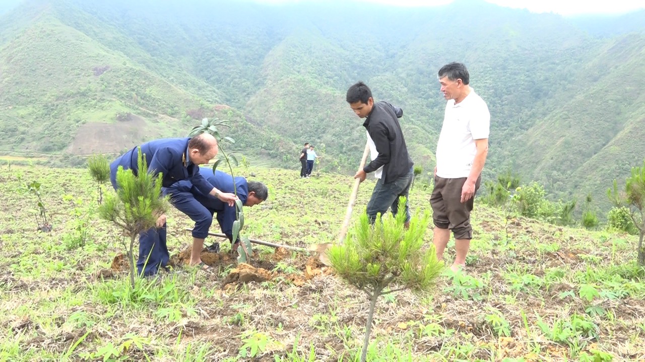 Sơn La: Đội QLTT số 5 hưởng ứng “Chương trình trồng 65.000 nghìn ...