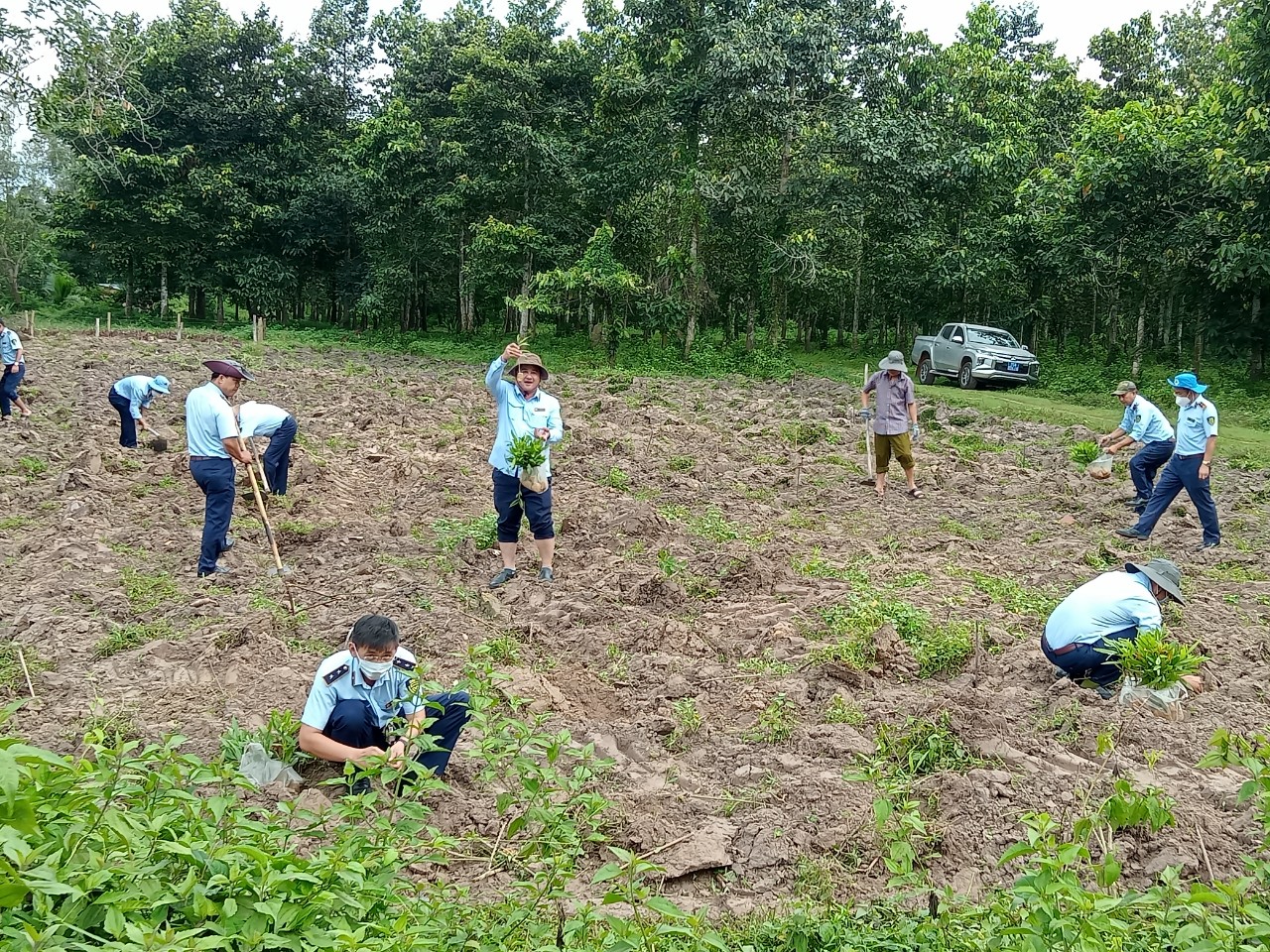 Tây Ninh ra quân trồng mới 1.000 cây xanh