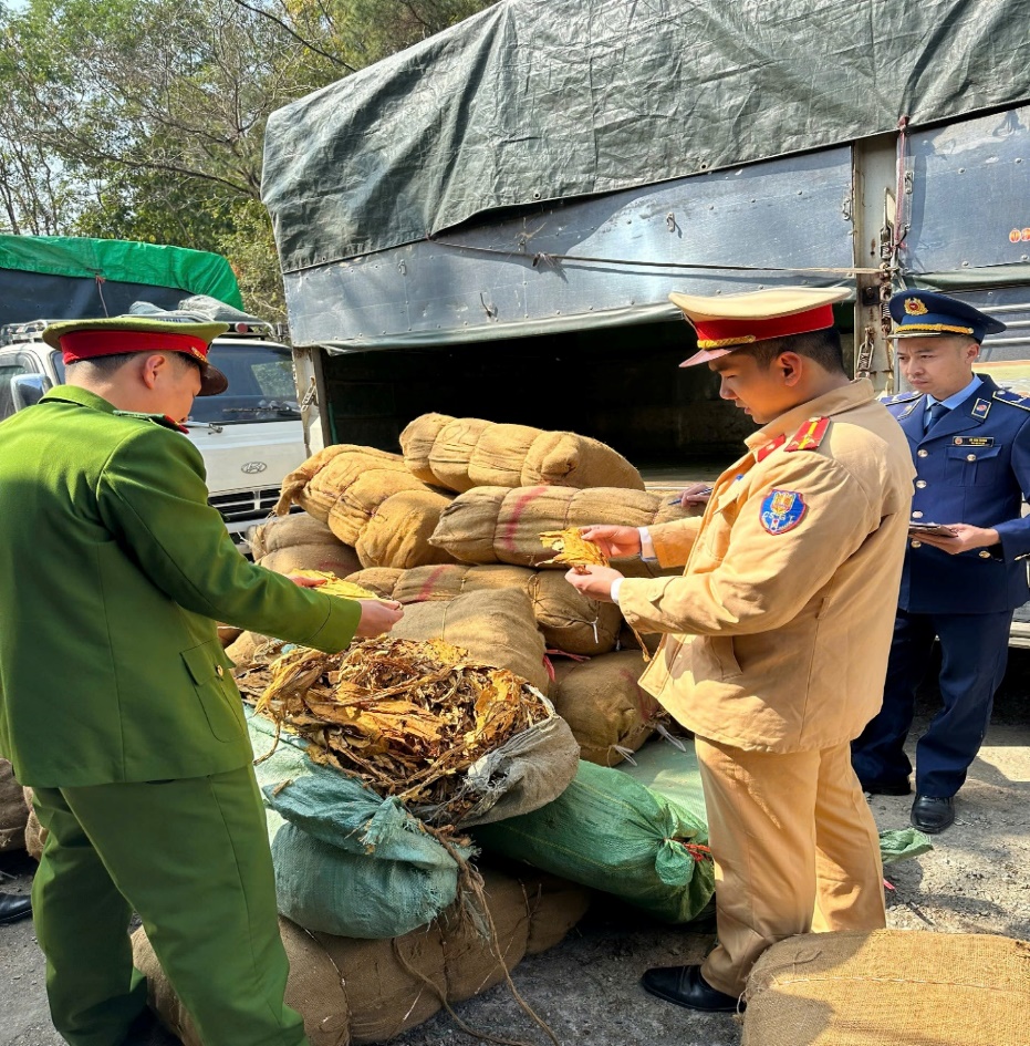 Cao Bằng: Kiểm tra, xử lý gần 3 tấn lá cây thuốc lá sấy khô không rõ nguồn gốc, xuất xứ